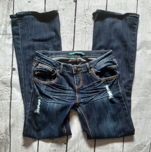 ❄3/$30--Almost Famous Flare Jeans